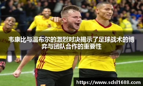 多多28官网